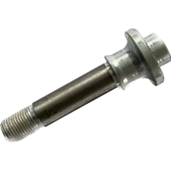 Embout/Vis D'axe MAVIC 32413001 Road Rear Axle End Bolt Screw